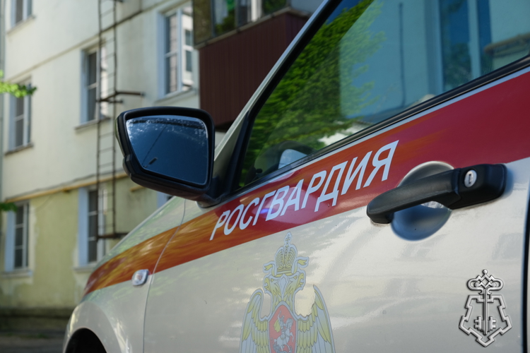Курские росгвардейцы за прошедшую неделю выезжали 285 раз по сигналу «тревога»