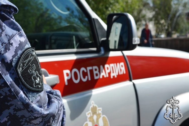 В Курской области росгвардейцы за прошедшую неделю совершили более 189 выездов по сигналу «тревога» 