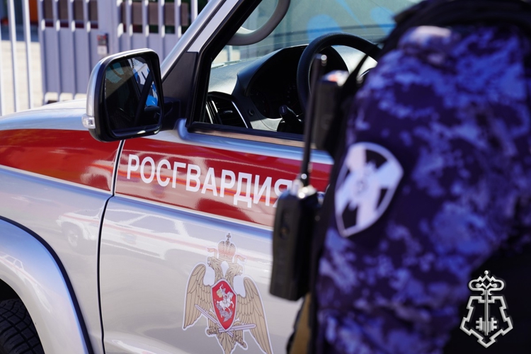  В Курской области росгвардейцы за прошедшую неделю совершили более 260 выездов по сигналу «тревога» 