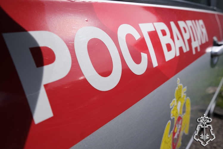 Курские росгвардейцы за прошедшую неделю выезжали 279 раз по сигналу «тревога»