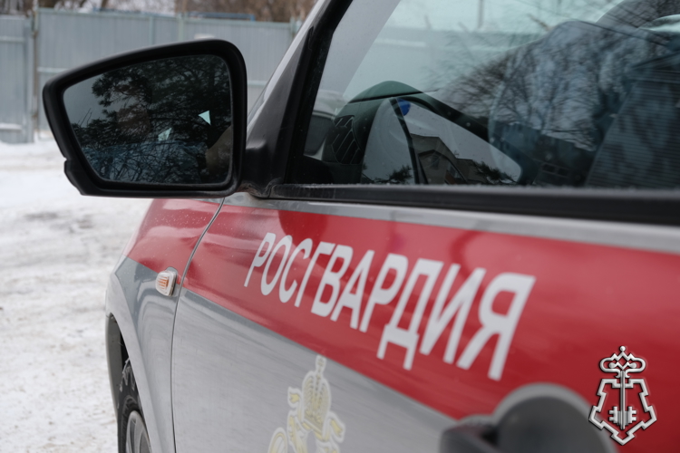 В Курской области росгвардейцы за прошедшую неделю совершили 305 выездов по сигналу «тревога» 