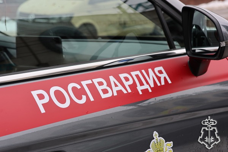  В Курской области росгвардейцы за прошедшую неделю совершили более 234 выездов по сигналу «тревога» 
