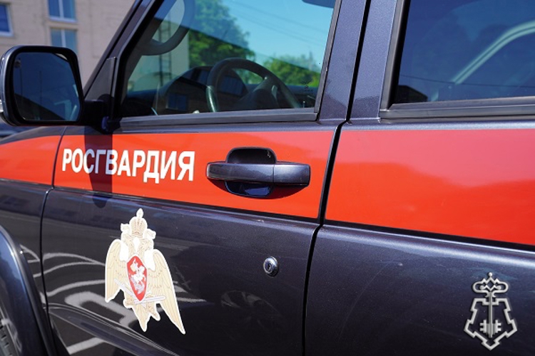 В Курской области росгвардейцы за прошедшую неделю совершили более 259 выездов по сигналу «тревога» 