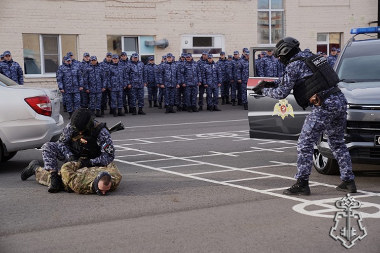 День вневедомственной охраны: курские росгвардейцы на страже безопасности